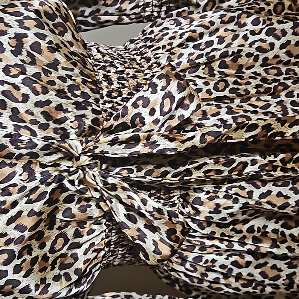 The Classy leopard Outfit - Picture 6 of 7